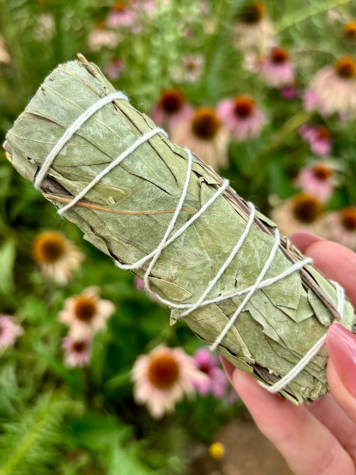 Hand rolled Eucalyptus Smudge Stick